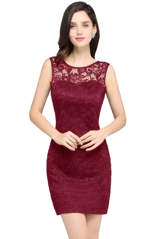 Chic Crew Neck Lace Mini Formal Dress Sleeveless Short Party Wear Dress
