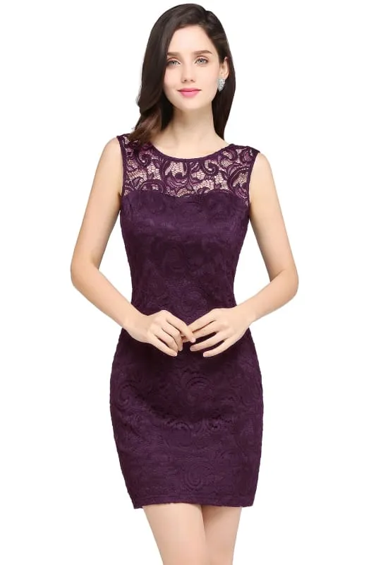 Chic Crew Neck Lace Mini Formal Dress Sleeveless Short Party Wear Dress