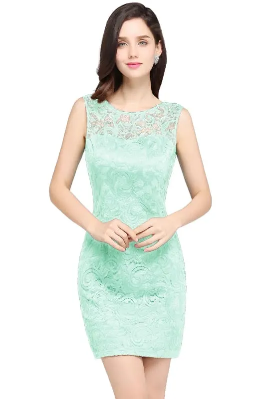 Chic Crew Neck Lace Mini Formal Dress Sleeveless Short Party Wear Dress